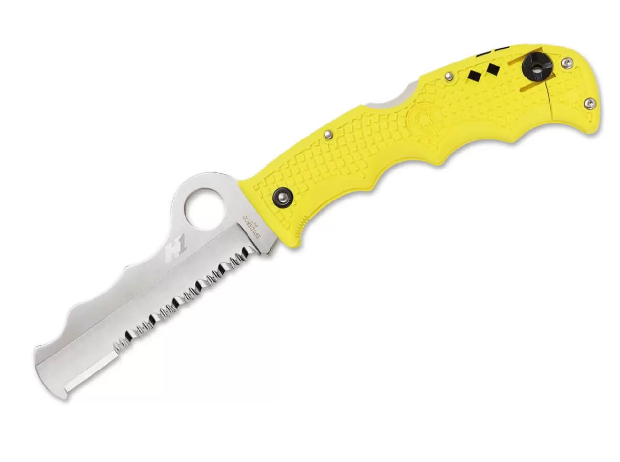 Spyderco Assist Salt Cheap