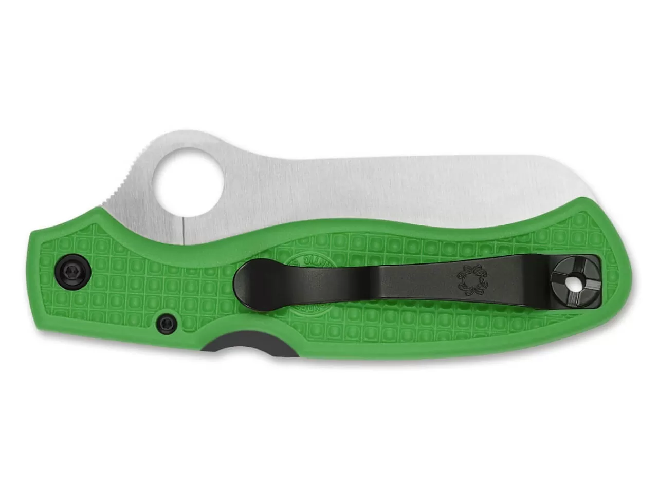 Spyderco Atlantic Salt Green Online