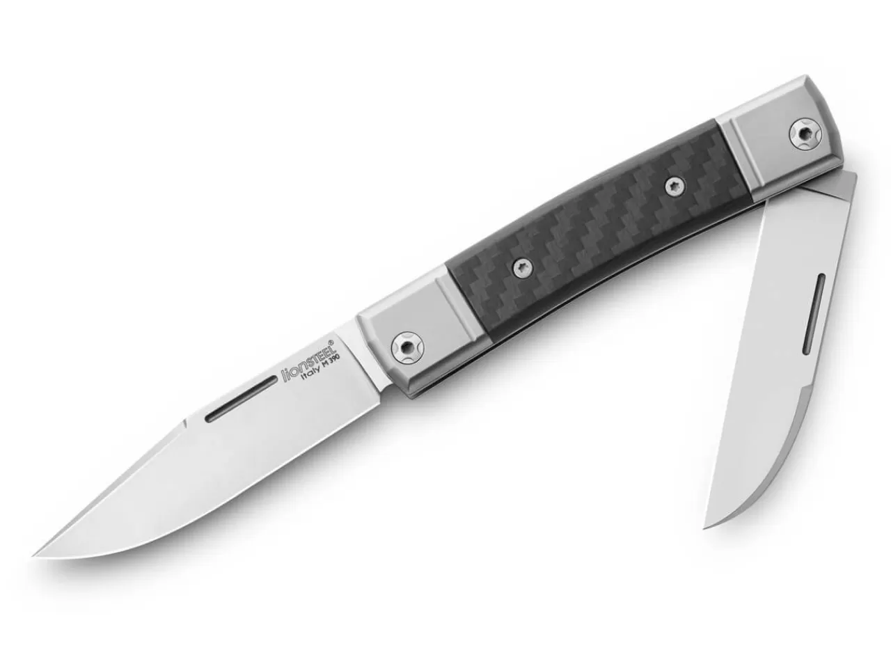 LionSteel Bestman Ii Cf Cheap