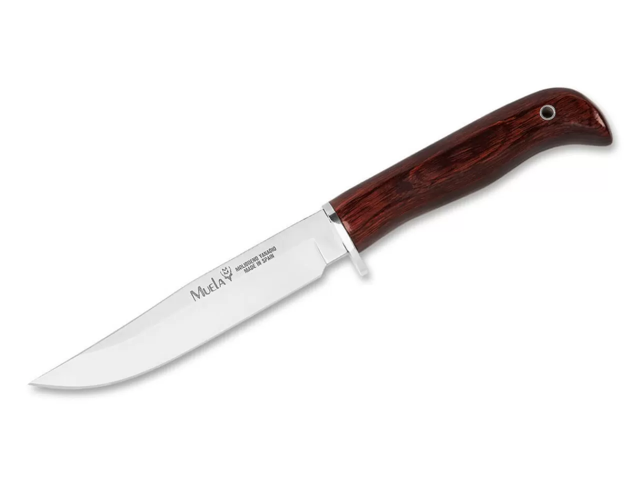 Muela Jagdmesser<Gred 13R Coral Wood