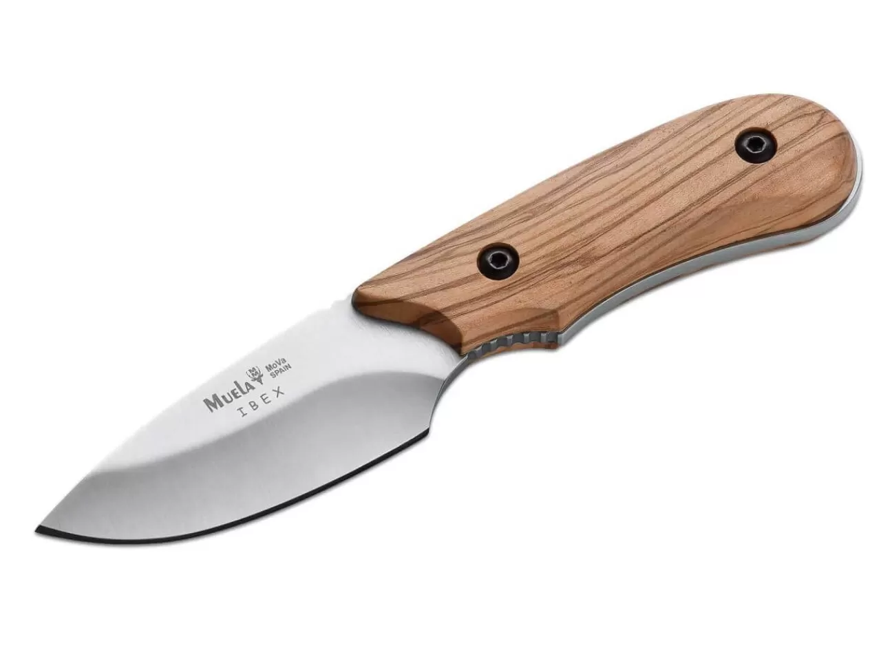 Muela Klassische Messer<Ibex Olive