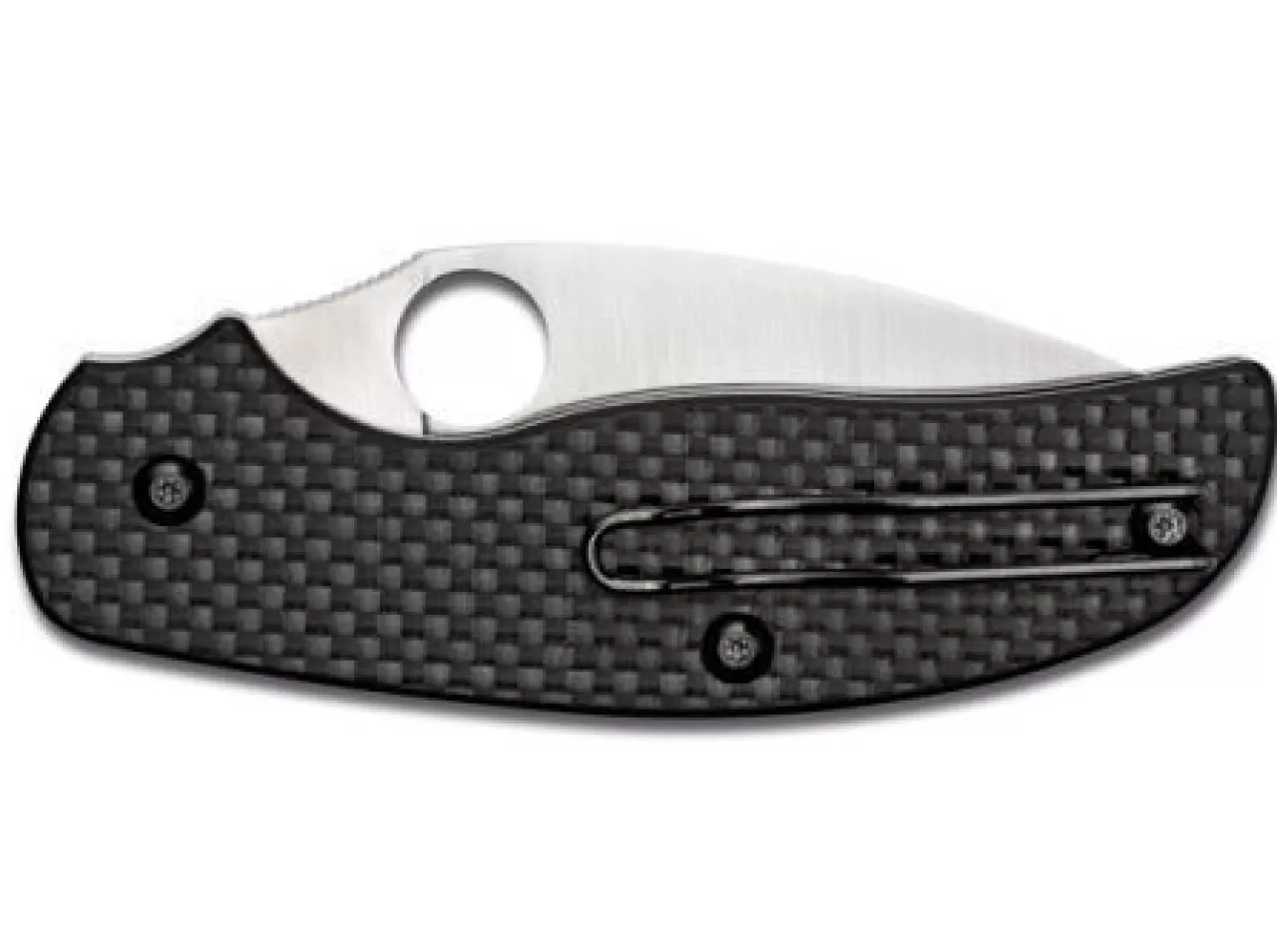 Spyderco Sage C123 Fashion