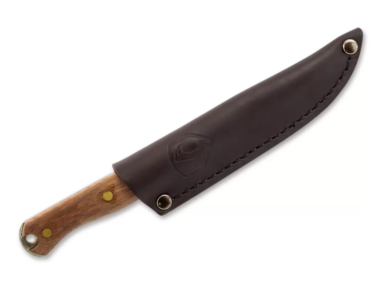 Condor Klassische Messer<Scotia Knife