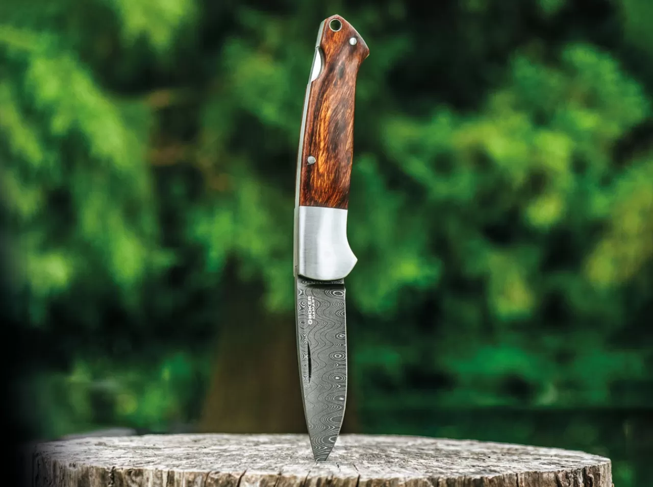 Böker Manufaktur Solingen Special Run Davis Classic Hunter Damast We Shop