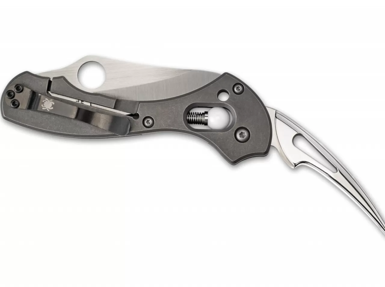 Spyderco Tusk Outlet