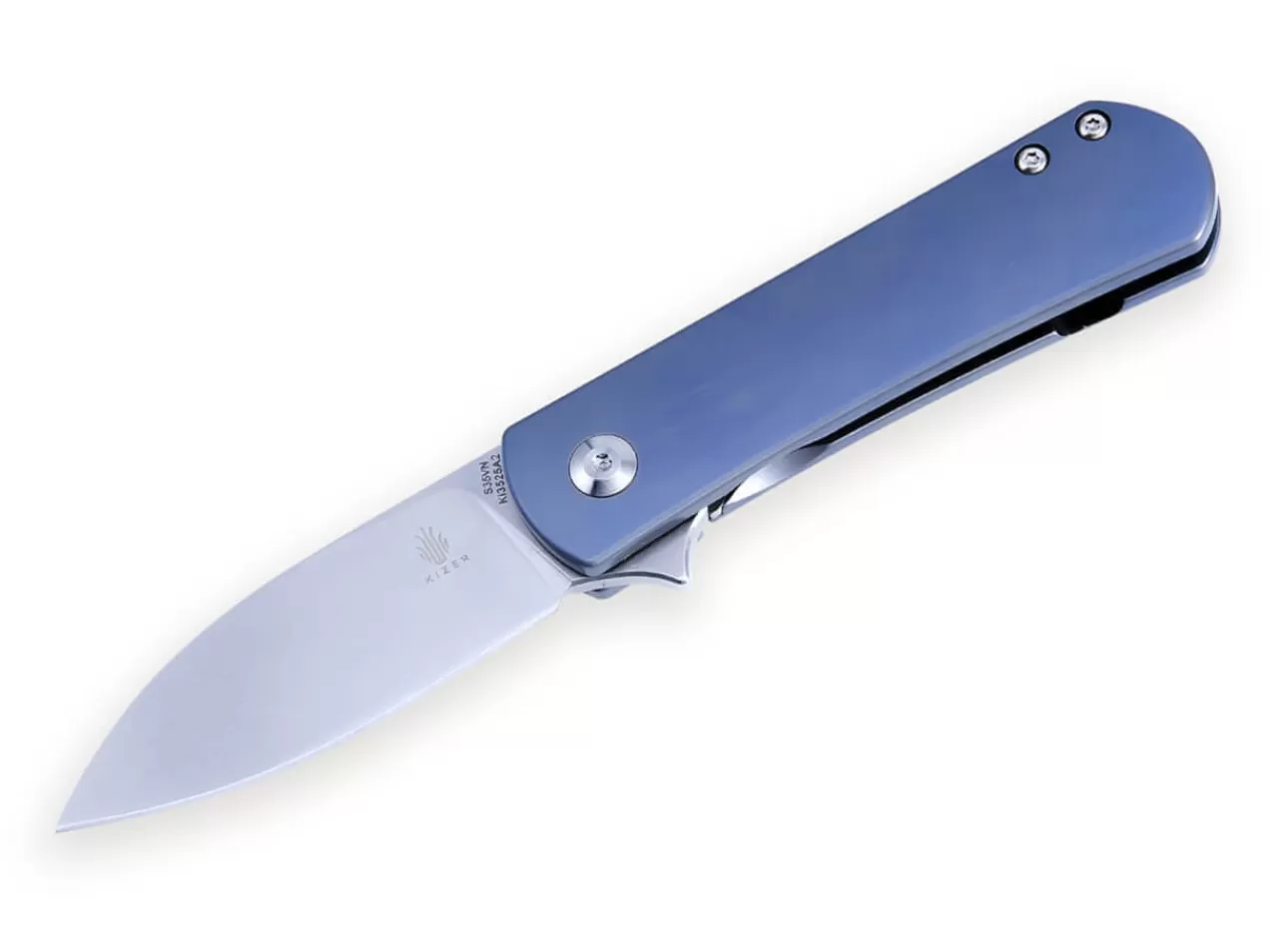 Kizer Yorkie Blue Hot