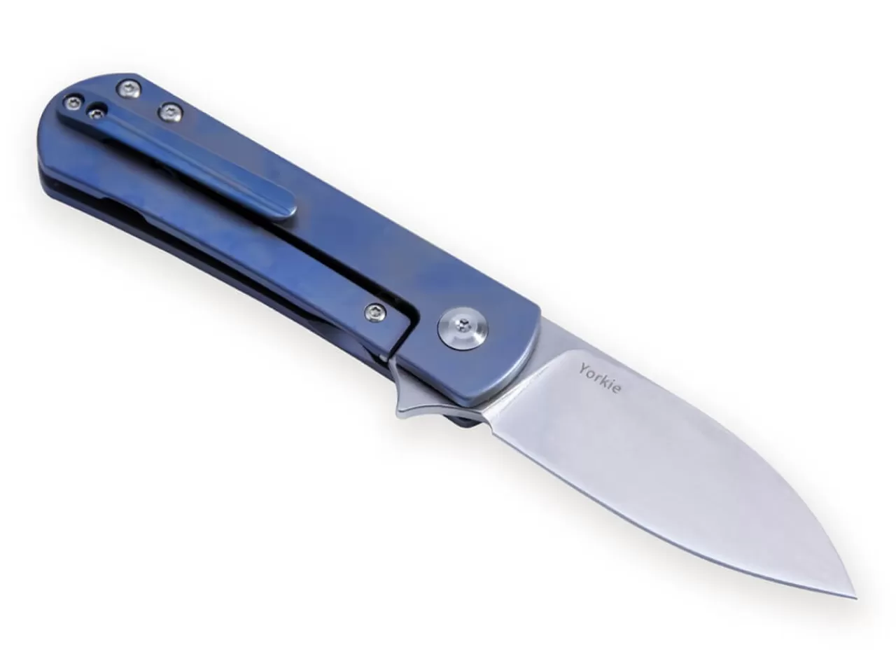 Kizer Yorkie Blue Hot